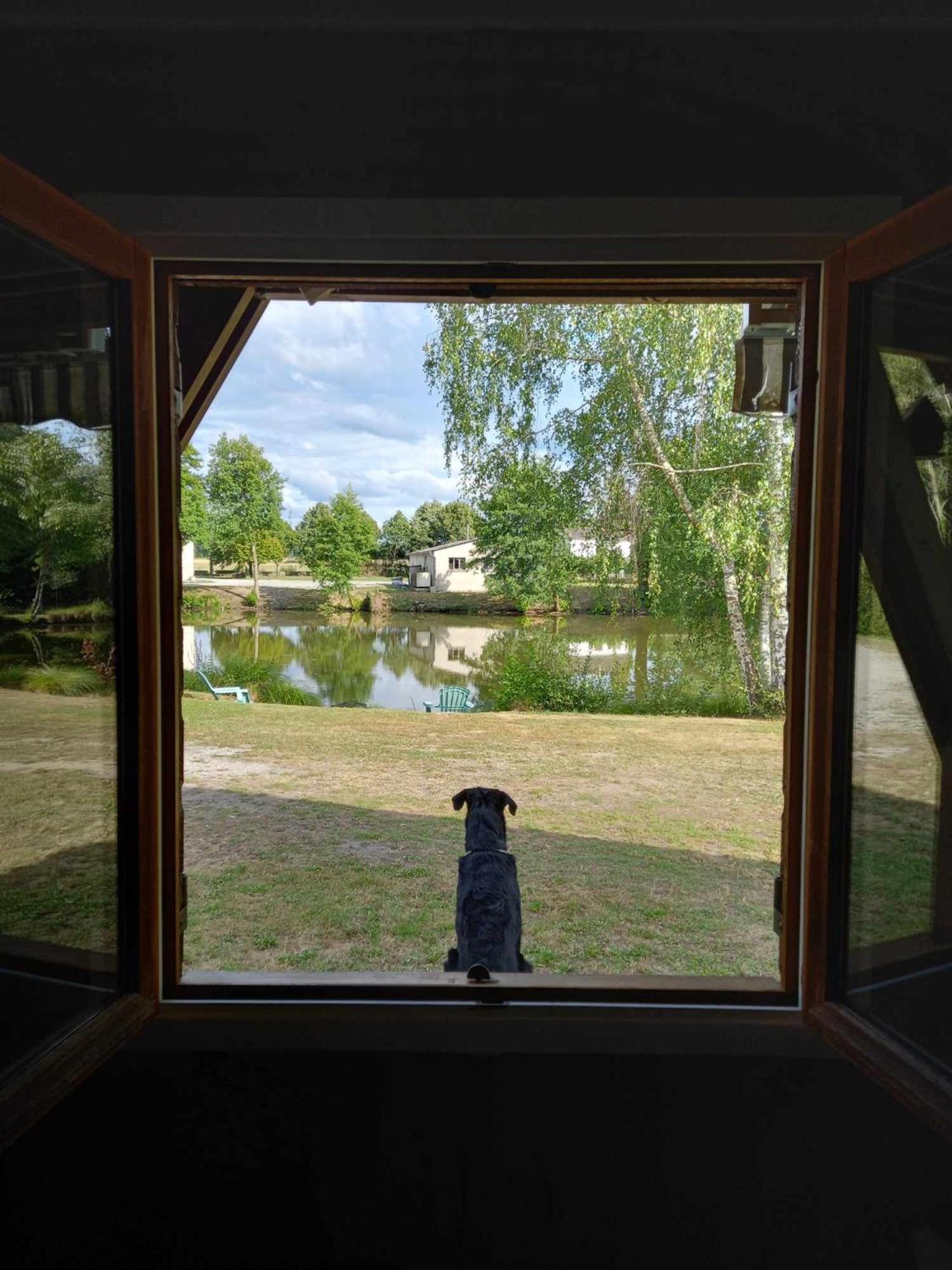 Le Chalet Limousin Folles Eksteriør bilde