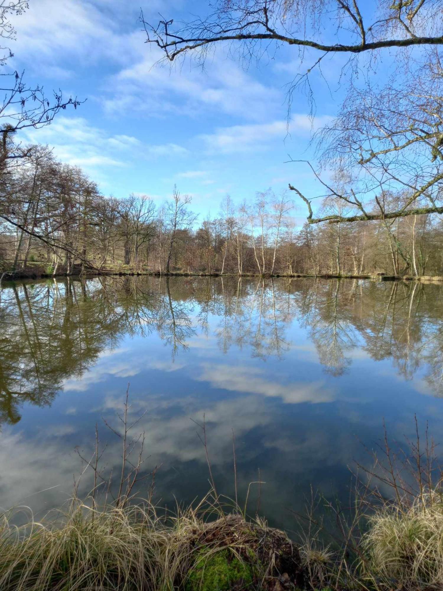 Le Chalet Limousin Folles Eksteriør bilde